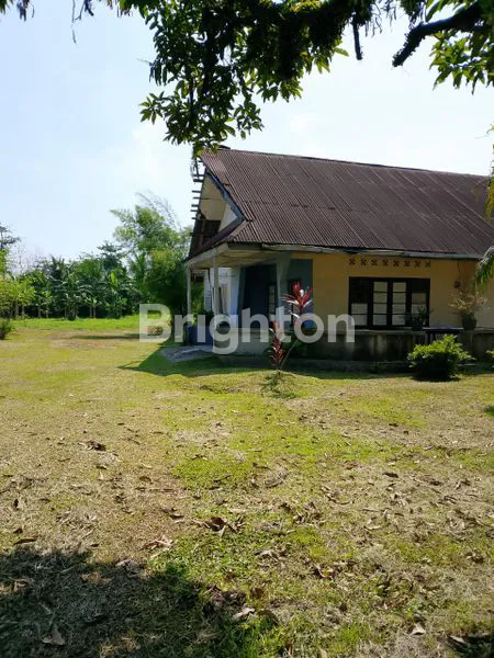 image TANAH  RATA COCOK UNTUK USAHA (5)