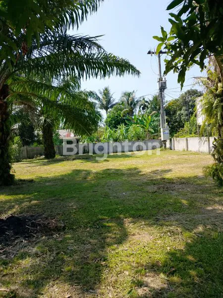 image TANAH  RATA COCOK UNTUK USAHA (2)