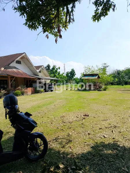 TANAH  RATA COCOK UNTUK USAHA