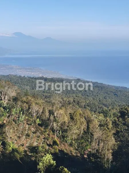 image JUAL TANAH MUNDUK VIEW PANTAI CANTIK  (5)