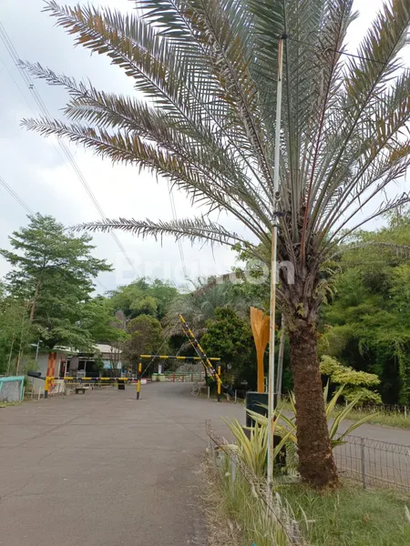 image RUMAH HOOK – PESONA PRIMA CIKAHURIPAN, KLAPANUNGGAL, BOGOR TIMUR (2)