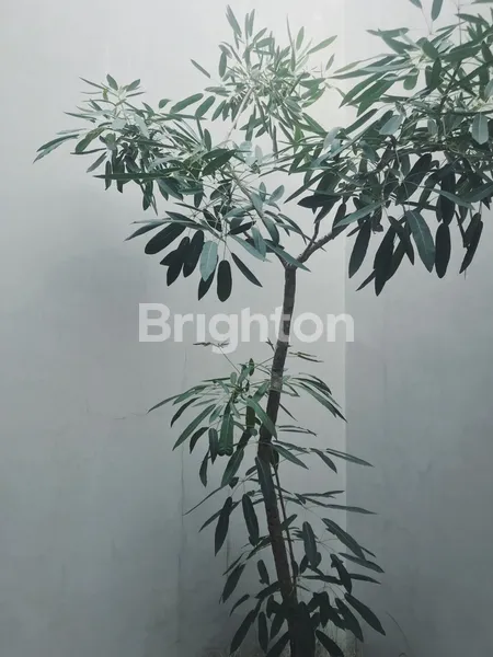 image FULL FURNISHED FLEEKHAUZ R BSD DENGAN LANTAI MEZZANINE (5)