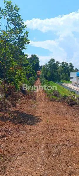 image LAHAN INDUSTRI . BELAKANG KAWASAN INDUSTRI BATAMINDO. BATAM (2)