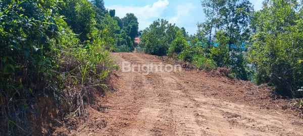 image LAHAN INDUSTRI . BELAKANG KAWASAN INDUSTRI BATAMINDO. BATAM (5)