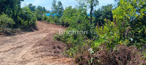 image LAHAN INDUSTRI . BELAKANG KAWASAN INDUSTRI BATAMINDO. BATAM (7)