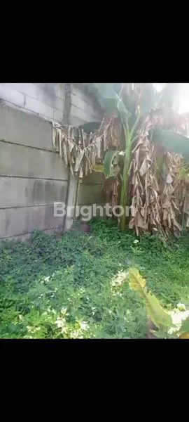 image TANAH LUAS 12.000M² DI CIKEAS STRATEGIS (1)