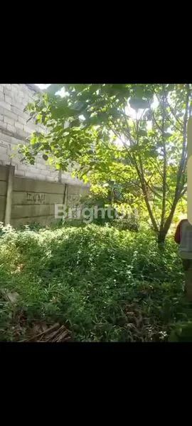 image TANAH LUAS 12.000M² DI CIKEAS STRATEGIS (2)