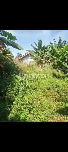 image TANAH LUAS 12.000M² DI CIKEAS STRATEGIS (3)