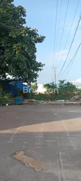 image DIJUAL RUKO HOOK (5)