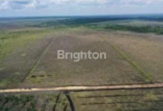 DIJUAL TANAH KOSONG 200HEKTAR DI PANARIKAN LANGGAM PELALAWAN