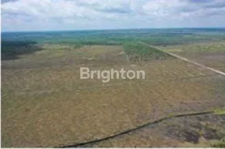 image DIJUAL TANAH KOSONG 200HEKTAR DI PANARIKAN LANGGAM PELALAWAN (2)