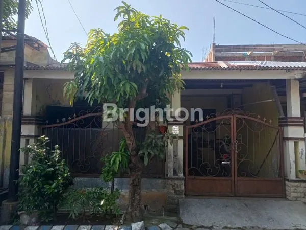 image RUMAH 1 LANTAI PERLU RENOVASI DEKAT JUANDA (1)