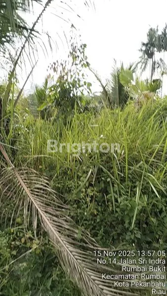 image DIJUAL TANAH  (1)