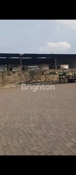 image TANAH DI NOL JALAN RAYA OSOWILANGON (5)