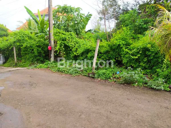 TANAH STRATEGIS DI GIANYAR – POTENSI TINGGI & LINGKUNGAN NYAMAN