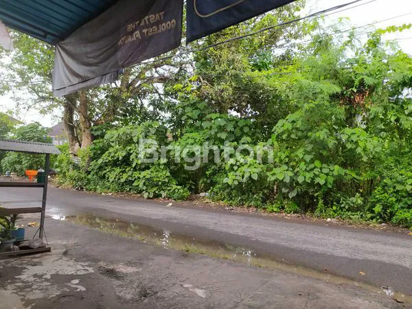 image TANAH STRATEGIS DI GIANYAR – POTENSI TINGGI & LINGKUNGAN NYAMAN (5)