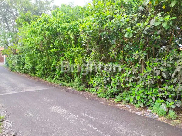 image TANAH STRATEGIS DI GIANYAR – POTENSI TINGGI & LINGKUNGAN NYAMAN (3)