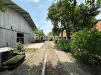 WhatsApp Image 2025 11 21 at 15.43.10