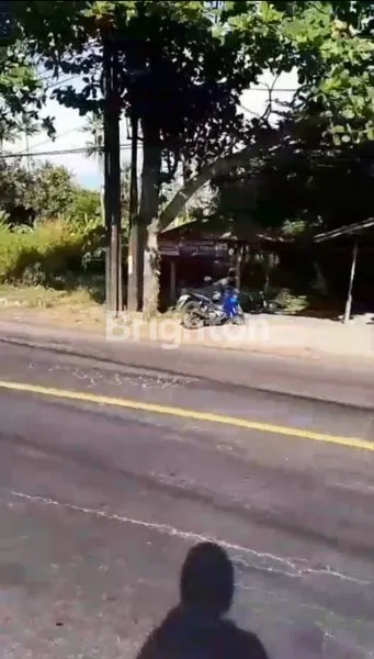 image TANAH LUAS 3 HA VIEW PANTAI LOVINA BALI (3)