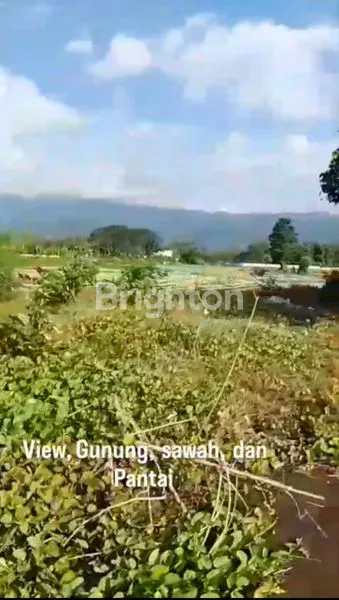 image TANAH LUAS 3 HA VIEW PANTAI LOVINA BALI (4)