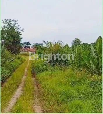 image TANAH MURAH TEPI JALAN DAERAH LEGOK, TANGERANG COCOK BANGUN PERUMAHAN  (2)