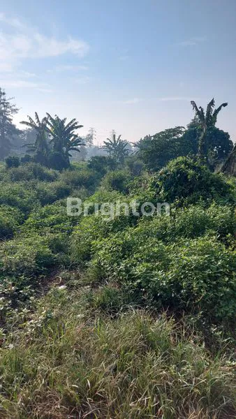 image TANAH MURAH TEPI JALAN DAERAH LEGOK, TANGERANG COCOK BANGUN PERUMAHAN  (4)