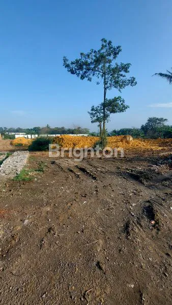 image TANAH MURAH TEPI JALAN DAERAH LEGOK, TANGERANG COCOK BANGUN PERUMAHAN  (1)