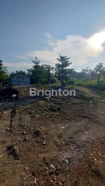 image TANAH MURAH TEPI JALAN DAERAH LEGOK, TANGERANG COCOK BANGUN PERUMAHAN  (5)