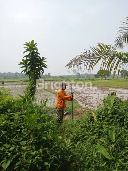image TANAH DIJUAL MURAH COCOK UNTUK PERUMAHAN DAERAH SELAPAJANG, CISOKA, KAB TANGERANG (7)