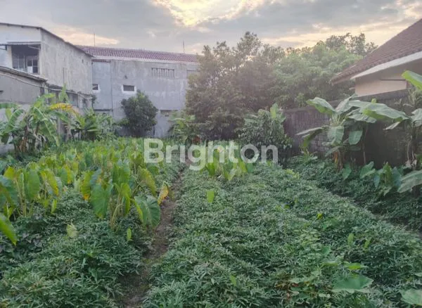 image TANAH SHM SIAP BANGUN 428M² DI CIOMAS BOGOR (2)