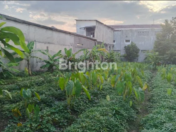 image TANAH SHM SIAP BANGUN 428M² DI CIOMAS BOGOR (1)