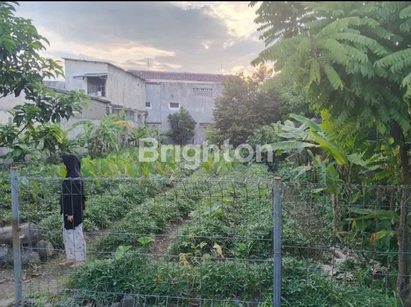 image TANAH SHM SIAP BANGUN 428M² DI CIOMAS BOGOR (3)