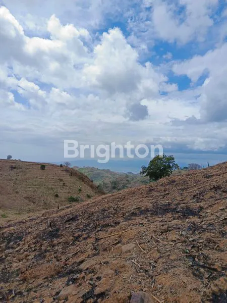 image TANAH INVESTASI OCEAN VIEW LOKASI SEKOTONG BARAT LOMBOK BARAT  (3)