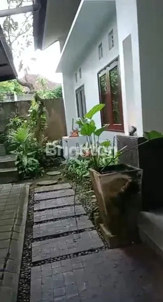 image MURAH !! KANTOR /GUDANG 800 METER DI TAMAN SARI KROBOKAN BALI (2)