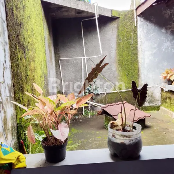 image RUMAH SIAP HUNI LT 415M² DI NGAGLIK SLEMAN (5)