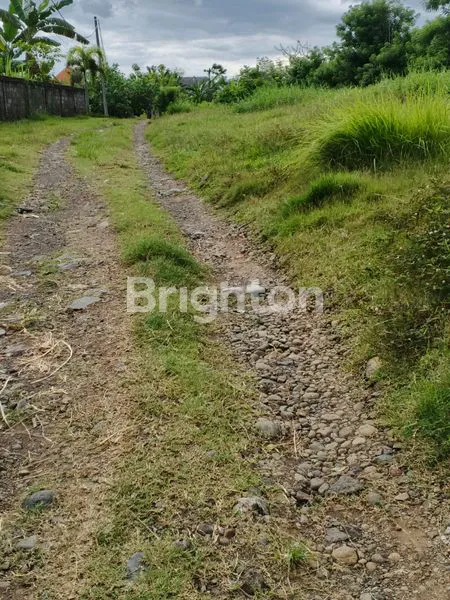 image TANAH DIJUAL 200 M2 DENGAN INVESTASI MENGUNTUNGKAN DIPUSAT KOTA NEGARA JEMBRANA BALI (2)