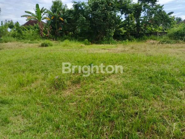 image TANAH DIJUAL 200 M2 DENGAN INVESTASI MENGUNTUNGKAN DIPUSAT KOTA NEGARA JEMBRANA BALI (8)