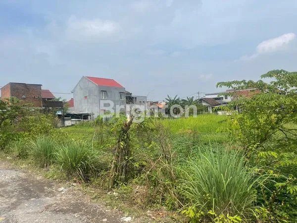 image TANAH SEDATI GEDE JUANDA SIDOARJO DIJUAL CEPAT NEGO!! (1)