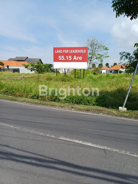 TANAH DISEWAKAN 55,15 ARE DI  JL PADANG LINJONG, CANGGU