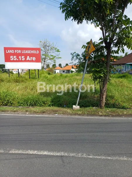 image TANAH DISEWAKAN 55,15 ARE DI  JL PADANG LINJONG, CANGGU (2)