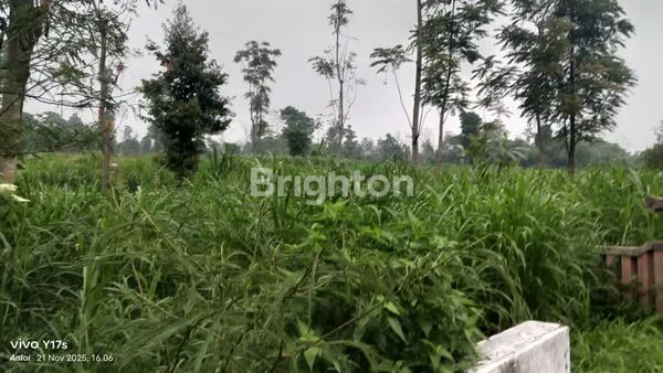 image TANAH LUAS 2.134M² DI PINGGIR JALAN RAYA (6)