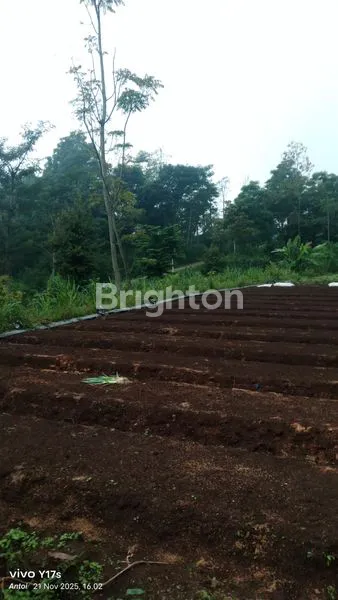 image TANAH LUAS 2.134M² DI PINGGIR JALAN RAYA (2)