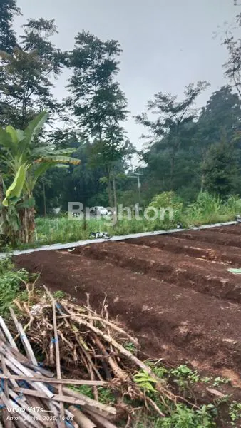 image TANAH LUAS 2.134M² DI PINGGIR JALAN RAYA (4)