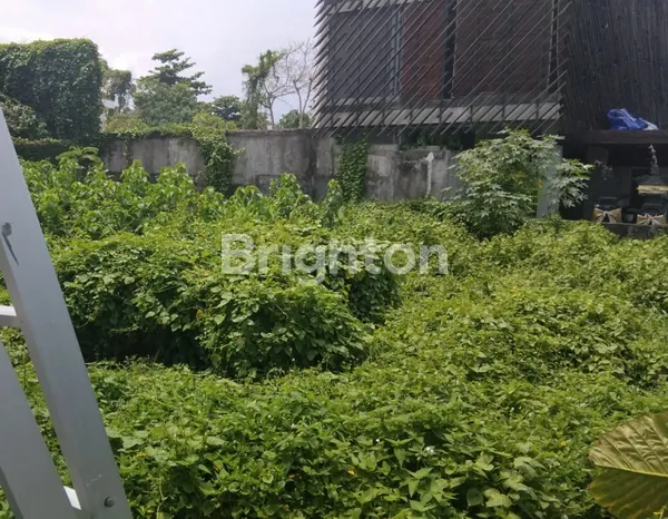 BEST LOCATION! TANAH KECIL STRATEGIS 2,2 ARE DISEWAKAN DI JL MUNDUK KEDUNGU, CANGGU