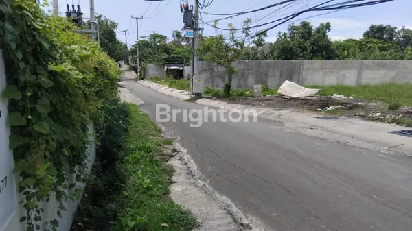 image BEST LOCATION! TANAH KECIL STRATEGIS 2,2 ARE DISEWAKAN DI JL MUNDUK KEDUNGU, CANGGU (2)
