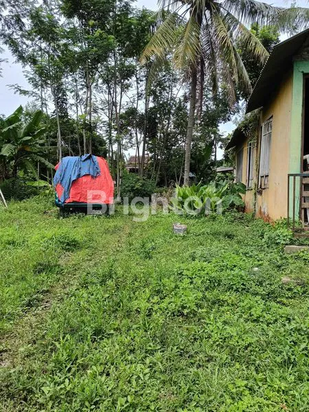 image TANAH ISTIMEWA PINGGIR JALAN NASIONAL BAWEN KABUPATEN SEMARANG (3)