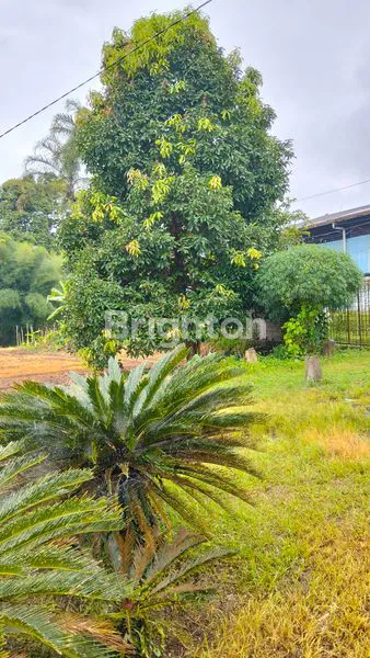 image TANAH DAN BANGUNAN SIAP PAKAI UNTUK INVESTASI TERKINI DAN TERBAIK DENGAN HARGA TERBAIK, LOKASI PARUNG KUDA, SUKABUMI. (5)