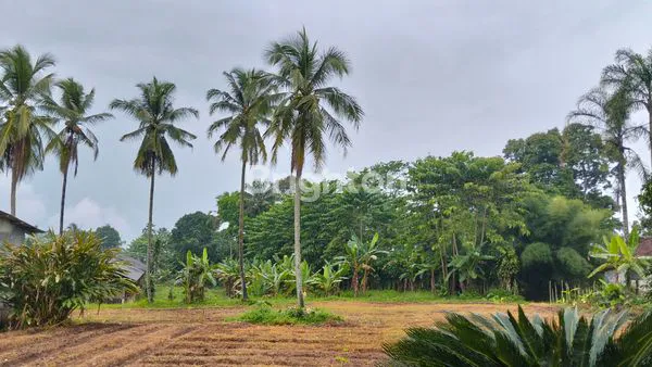 image TANAH DAN BANGUNAN SIAP PAKAI UNTUK INVESTASI TERKINI DAN TERBAIK DENGAN HARGA TERBAIK, LOKASI PARUNG KUDA, SUKABUMI. (4)