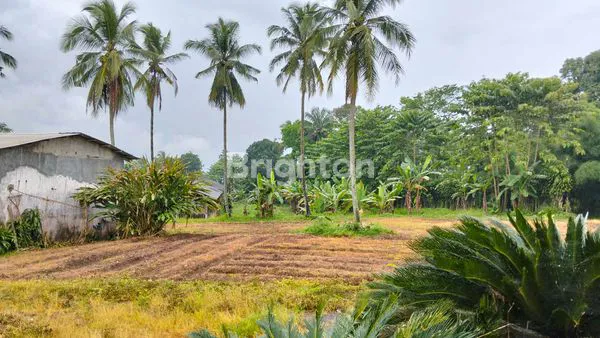 image TANAH DAN BANGUNAN SIAP PAKAI UNTUK INVESTASI TERKINI DAN TERBAIK DENGAN HARGA TERBAIK, LOKASI PARUNG KUDA, SUKABUMI. (2)