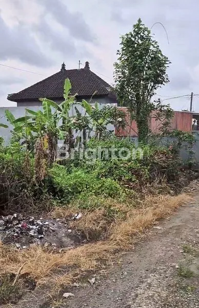 image DIJUAL MURAH TANAH LOKASI STRATEGIS DI SENAPAHAN, TABANAN (4)